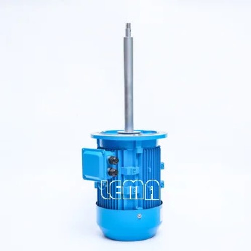 Chemical Pump Long Shaft Motor Customized Special Professional  Production Synchronous Motor Rare Earth Permanent Magnet
