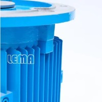 Chemical Pump Long Shaft Motor Customized Special Professional  Production Synchronous Motor Rare Earth Permanent Magnet