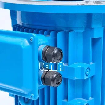 Chemical Pump Long Shaft Motor Customized Special Professional  Production Synchronous Motor Rare Earth Permanent Magnet