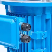 Chemical Pump Long Shaft Motor Customized Special Professional  Production Synchronous Motor Rare Earth Permanent Magnet