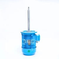 Chemical Pump Long Shaft Motor Customized Special Professional  Production Synchronous Motor Rare Earth Permanent Magnet