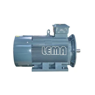 Electric Motor For Compressor Customized Special Professional  Production Rare Earth Permanent Magnet Synchronous