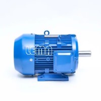Electric Motor For Circular Knitting Machine Customized Special Professional  Production Rare Earth Permanent Magnet Synchronous