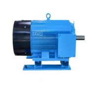 Electric Motor For Wire-drawing Machine Customized Special Professional  Synchronous Rare Earth Permanent Magnet