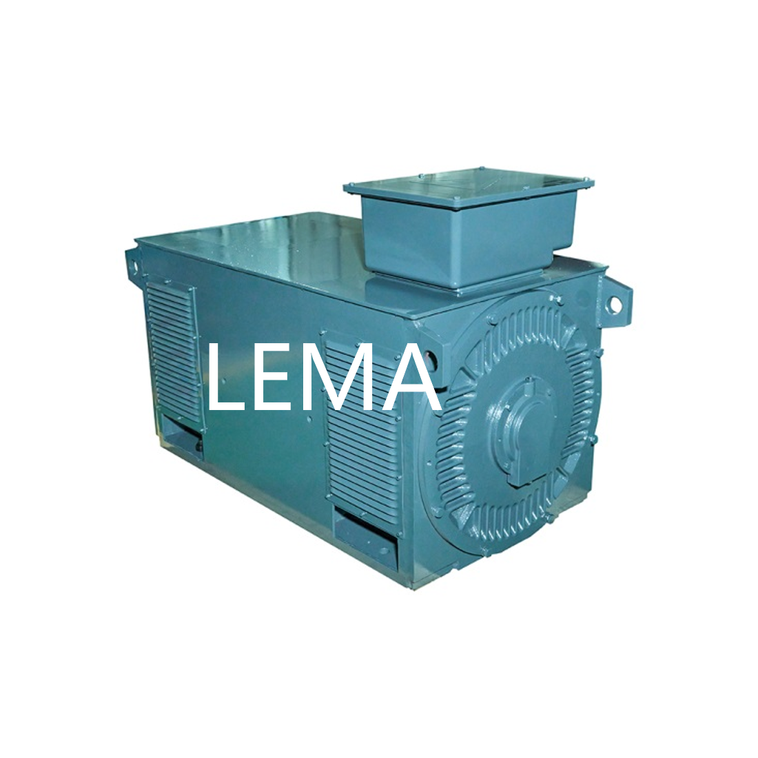 Multi-Speed Voltage Induction Motor