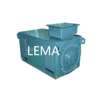 Multi-Speed Voltage Induction Motor